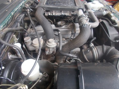 9961170_1_b.jpg